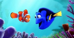 dory_2525738b